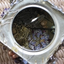 A look inside