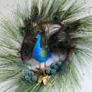 Peacock wreath