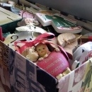 The ornaments were nestled, all snug in their box