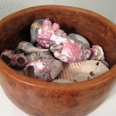 Sea shells