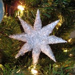 Paper Star Ornament