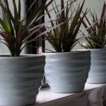 Windowsill Flower Pots