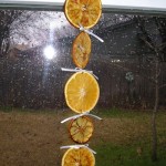 Dried Fruit Garland