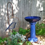 Birdbath Blues