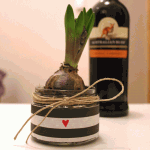 Hostess Gift: Dress Up a Spring Bulb